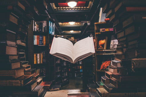 The Thinker’s Guide to Deep Reading
